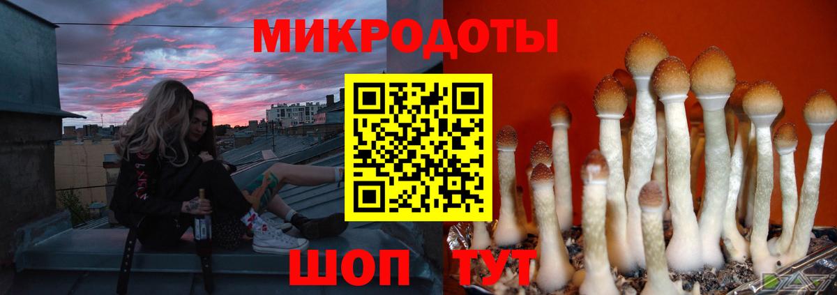 Анжеро-Судженск  Псилоцибиновые грибы Magic Shrooms  как найти закладки  Вход с VPN 